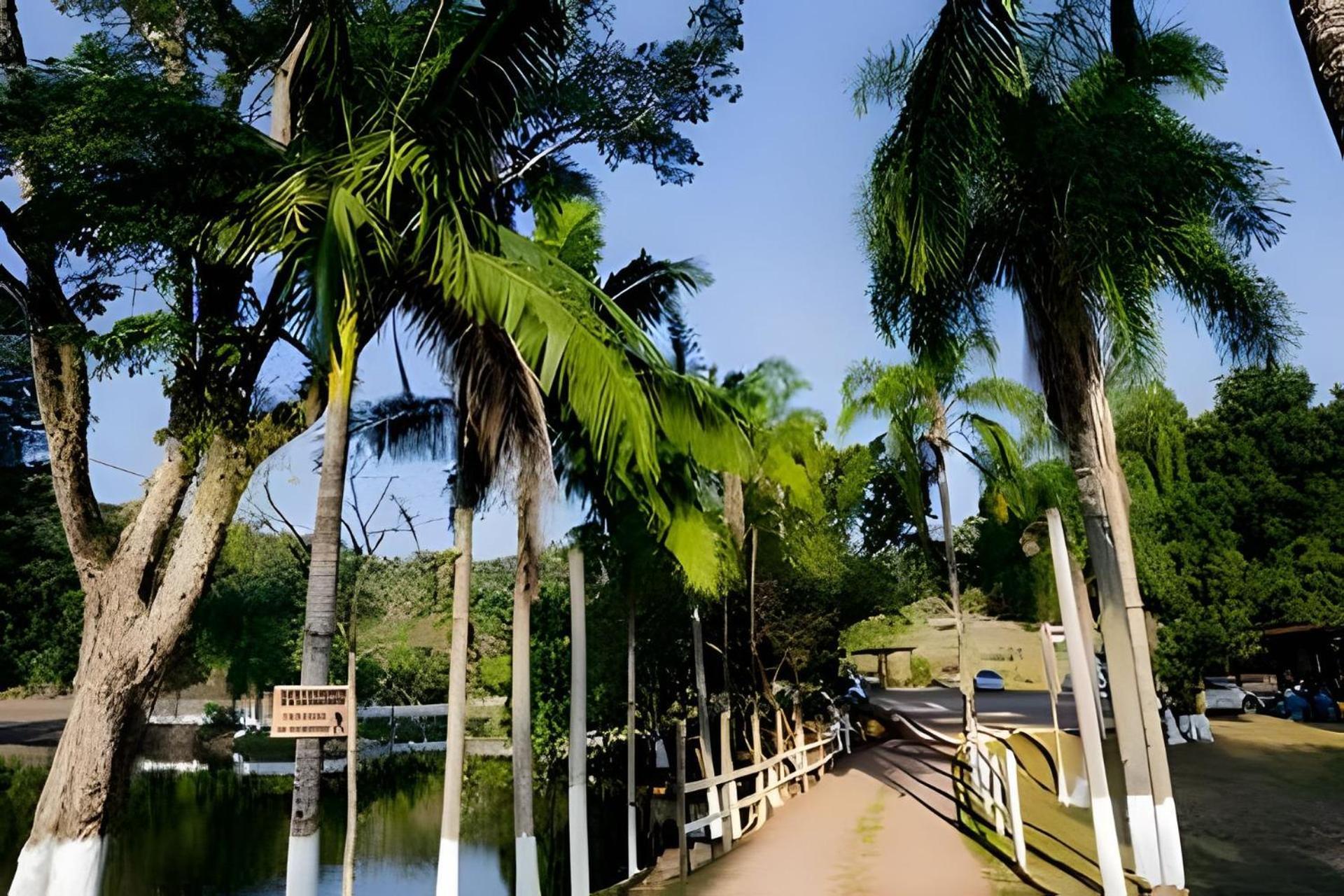 Recanto Das Aguas - Chales No Meio Da Mata Atlantica Eldorado Exterior foto
