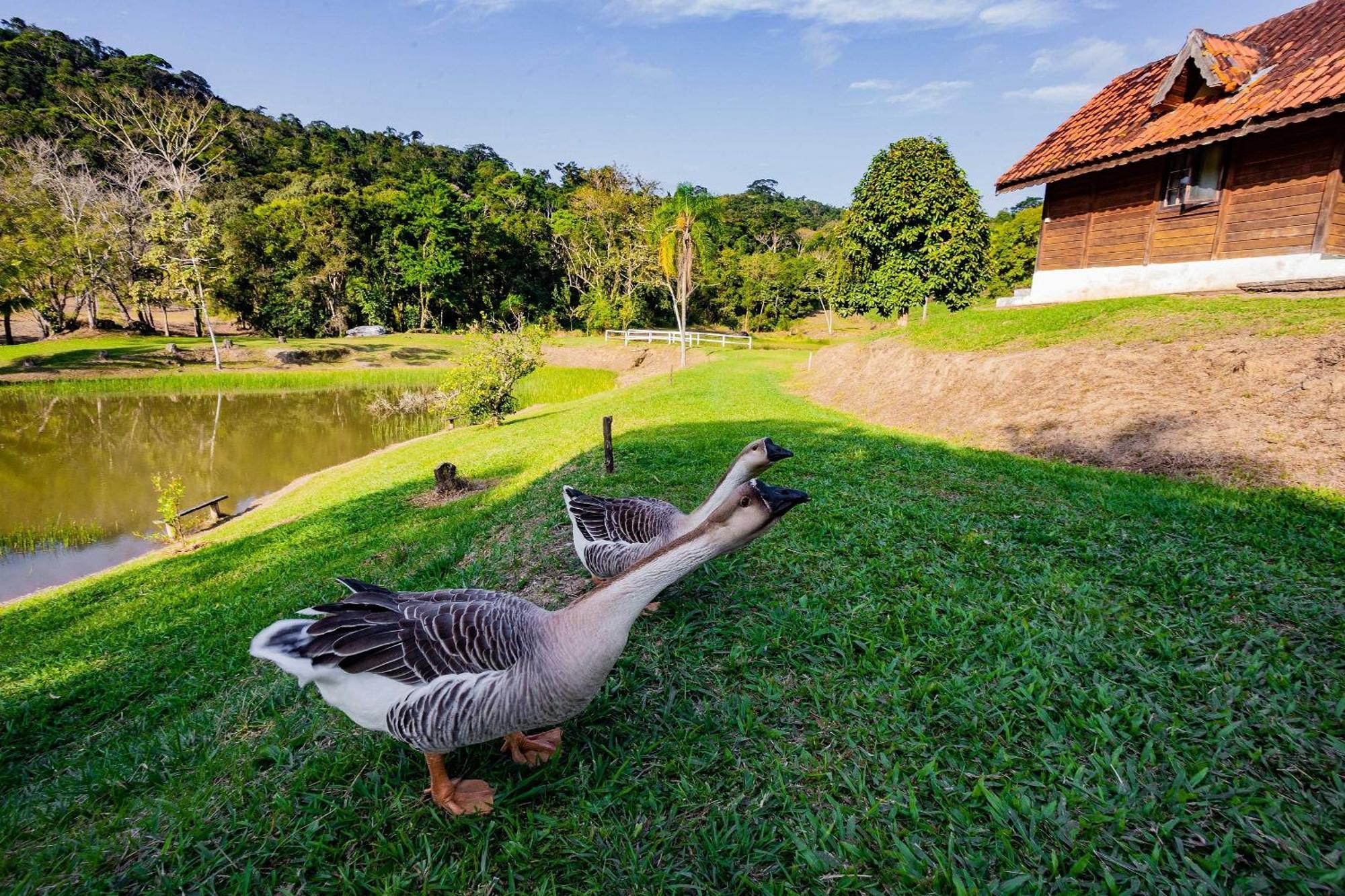 Recanto Das Aguas - Chales No Meio Da Mata Atlantica Eldorado Exterior foto